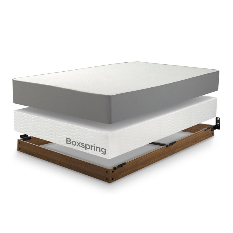 Zipcode Design Winston Wood Bed Frame for Box Spring & Reviews Wayfair.ca